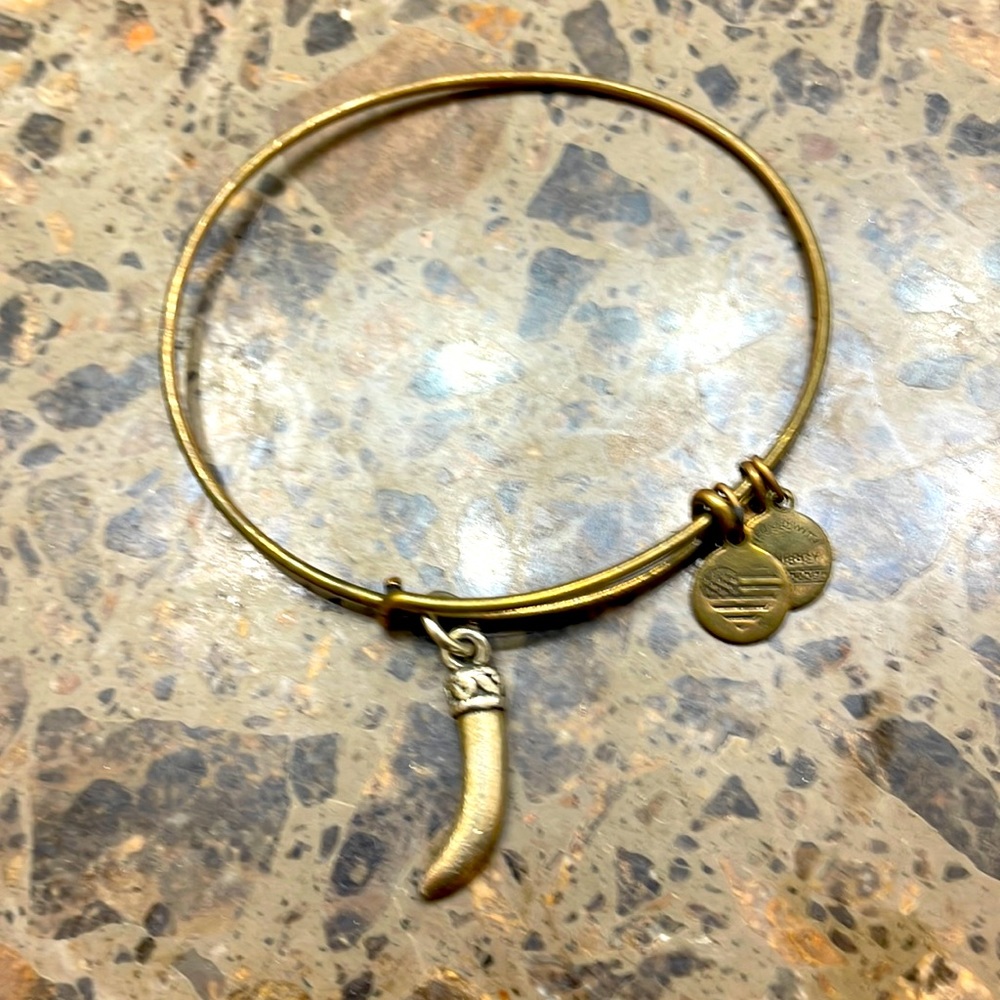 Alex and Ani gold and silver bracelet